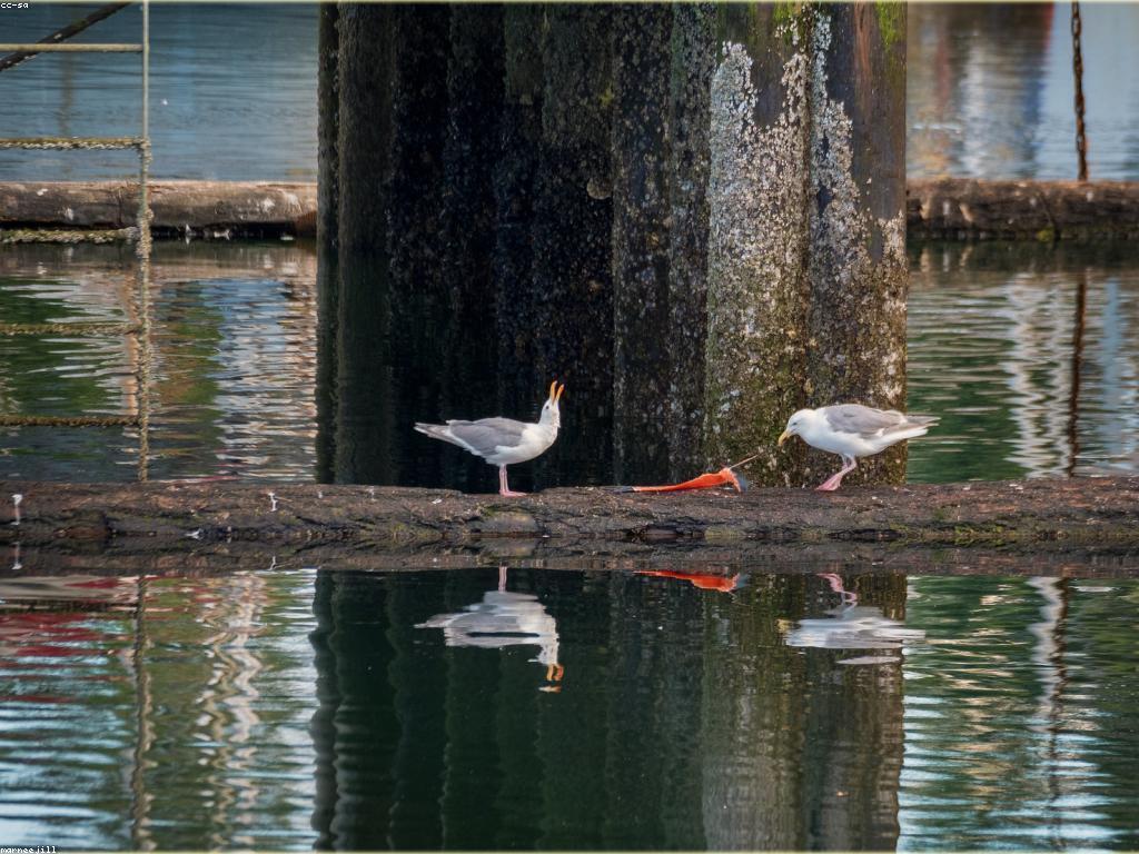យុទ្ធសាស្ត្រដើម្បីឈ្នះក្នុងជីវិត